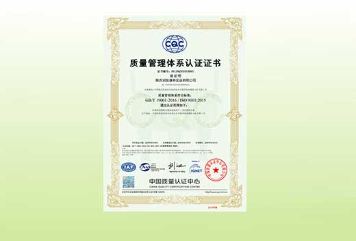 质量管理体系认证证书 质量管理体系认证证书